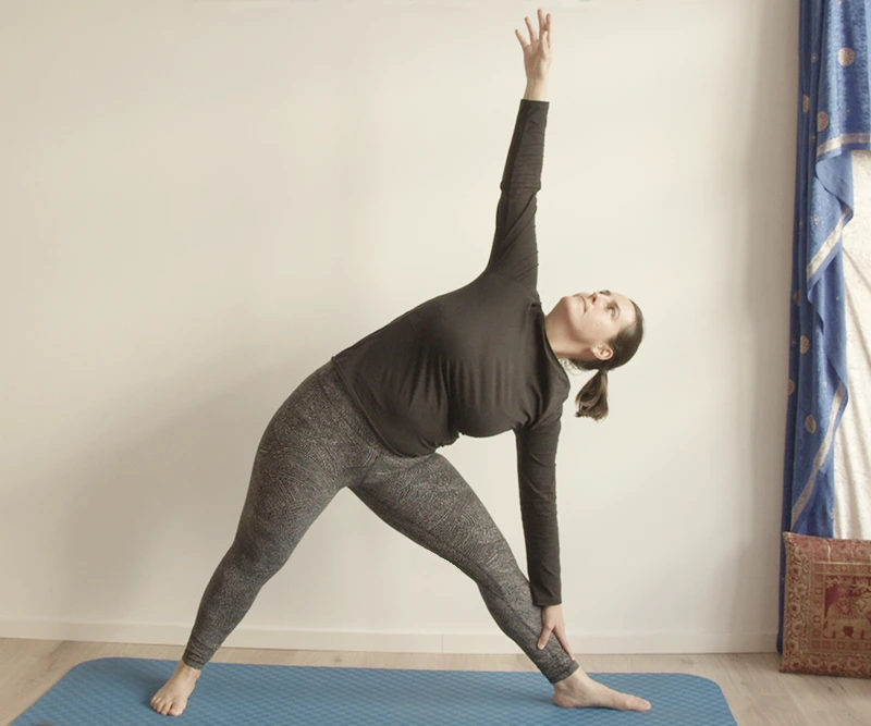 YOGA VIHAR 