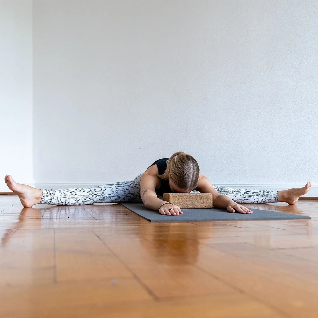 Yoga Rebellion 