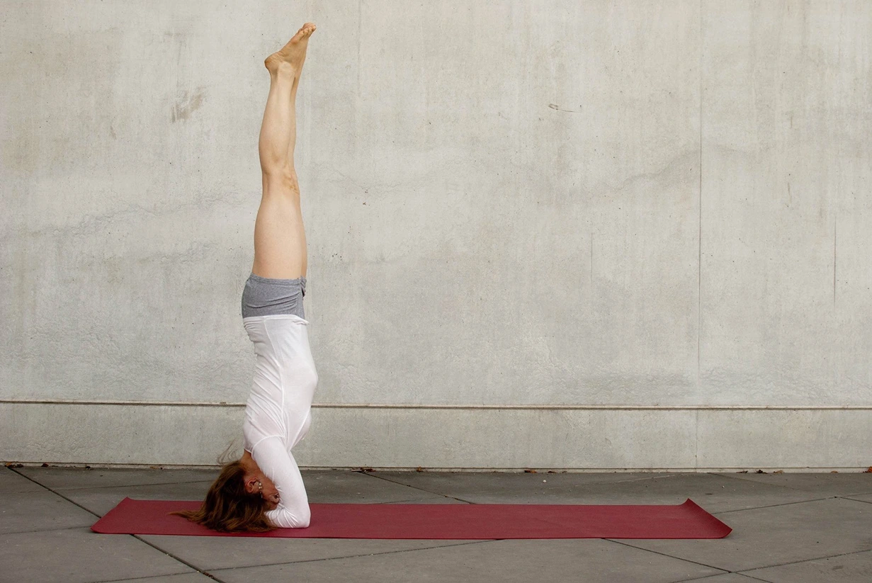 Yogabee Germany