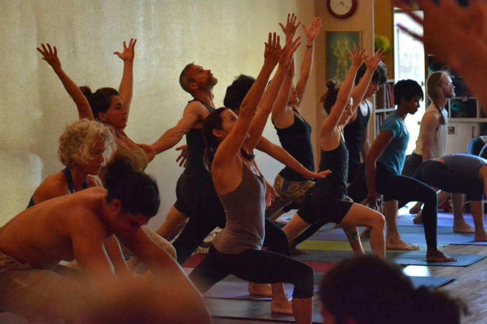 Yogabee
