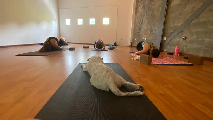 2 Espacio Fit Yoga