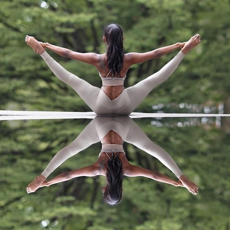 Ahimsa Estudio De Yoga 