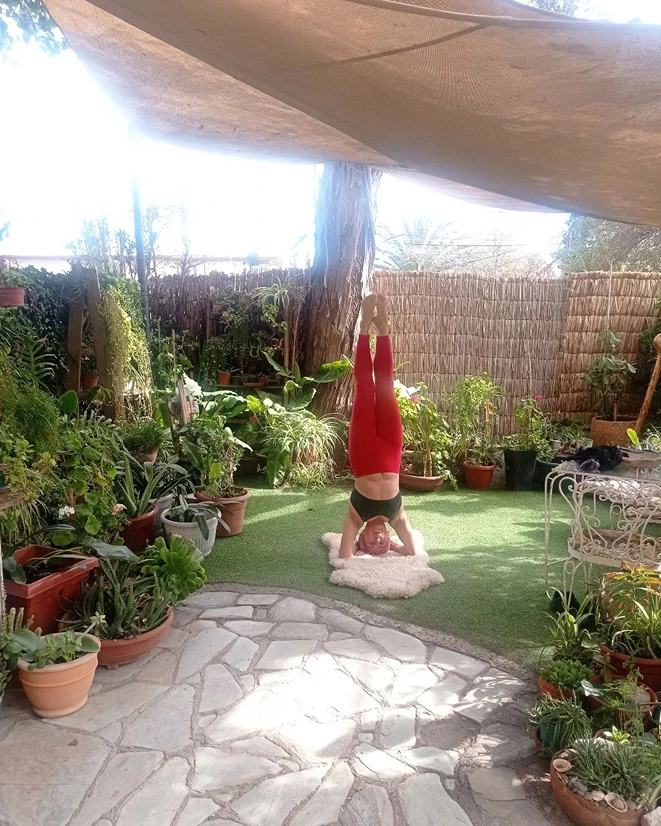 Aroha Yoga 