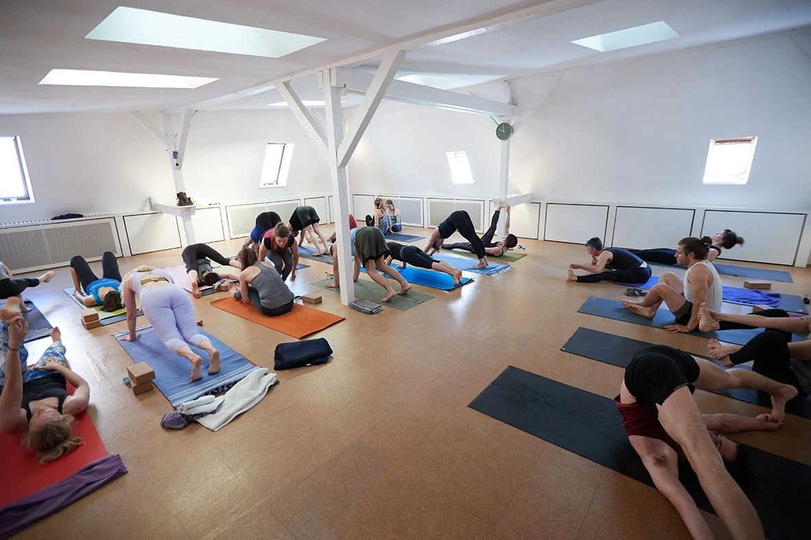 Ashtanga Yoga Sternschanze With Inke Shenar