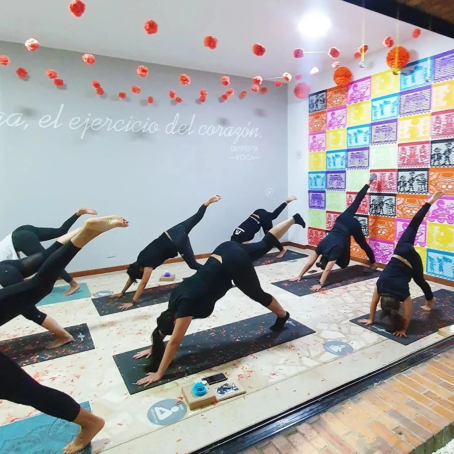 Despierta Yoga