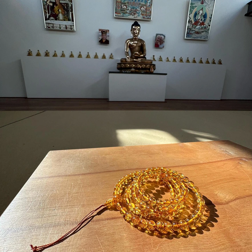 Diamantweg Buddhismus Hamburg Kleinborstel Der Karmakagyülinie E.v. Germany