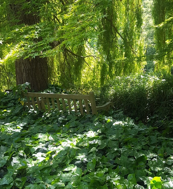 Ealing Yoga, Meditation And Philosophy Centre