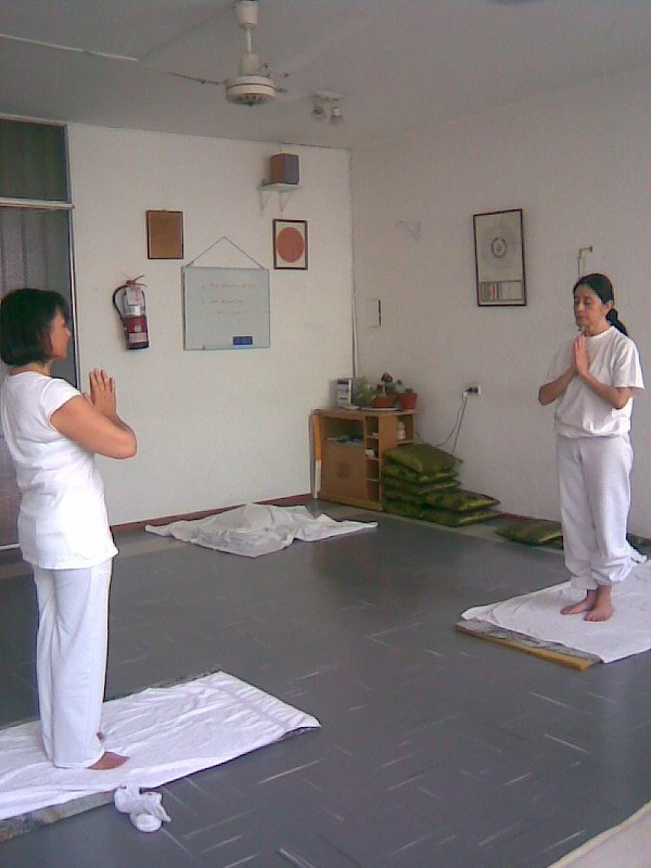 Escuela Superior de Yoga 