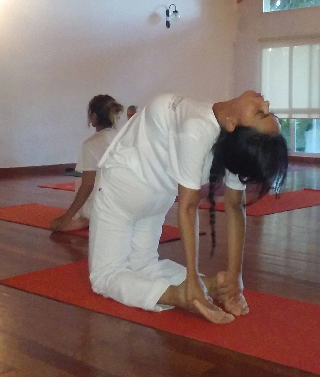 Escuela de Yoga Uttama Argentina