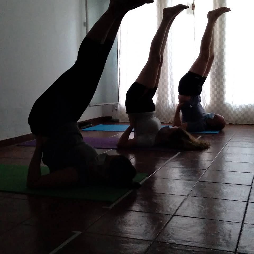Fer_Basanti Yoga + Movimiento Vital Argentina