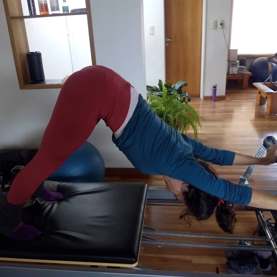Garden Estudio De Pilates 