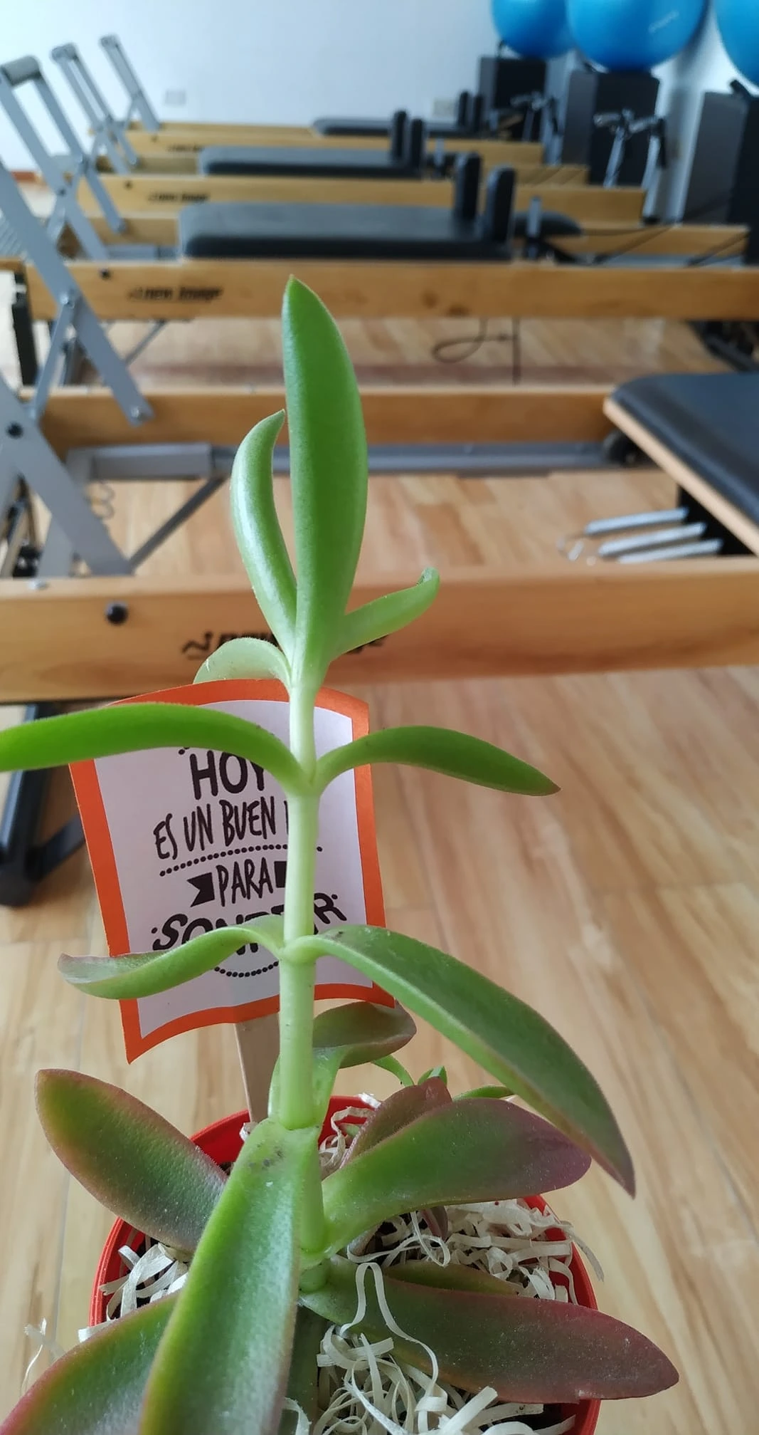 K'umara Pilates Córdoba