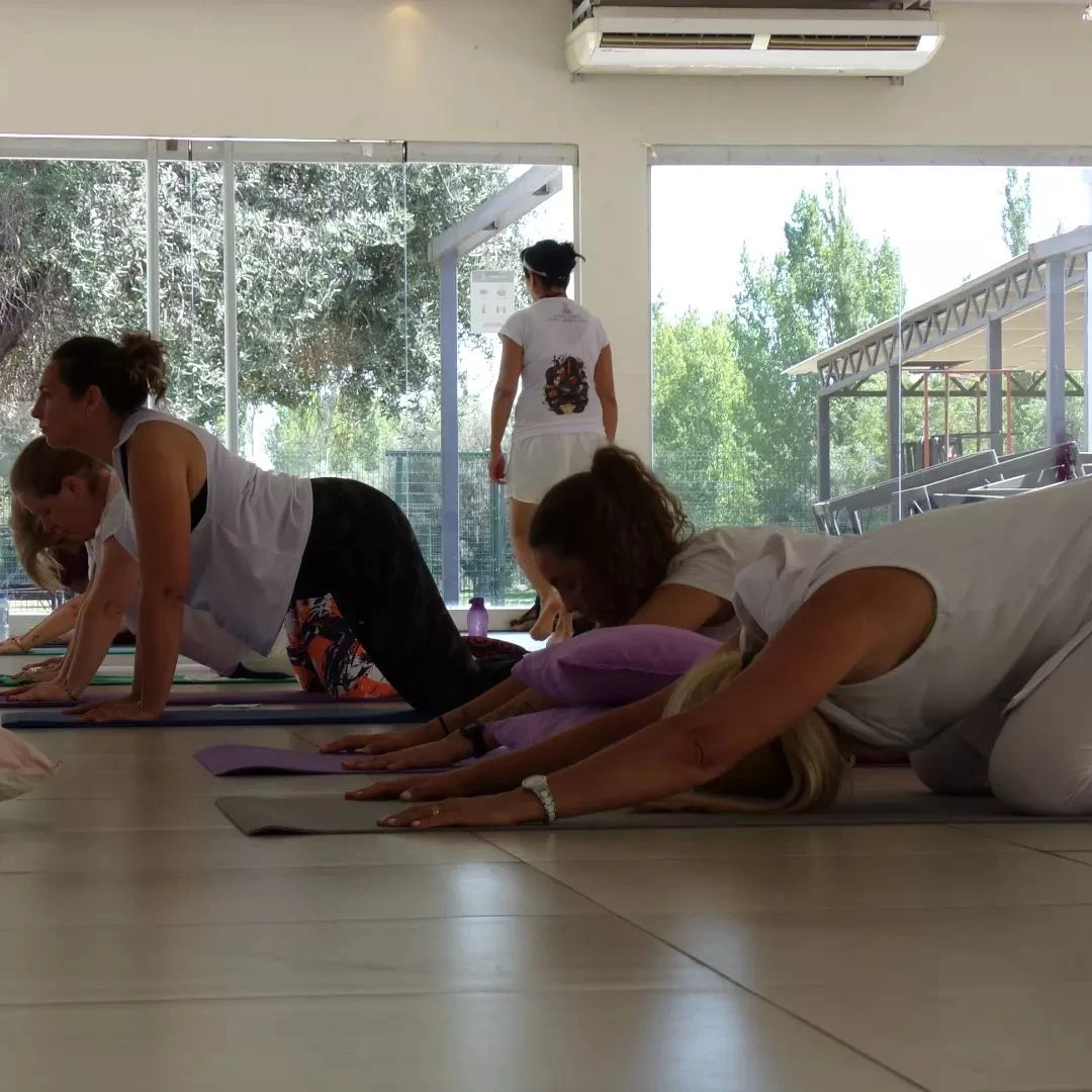 NAMIBIA YOGA MZA Centro Holístico Argentina