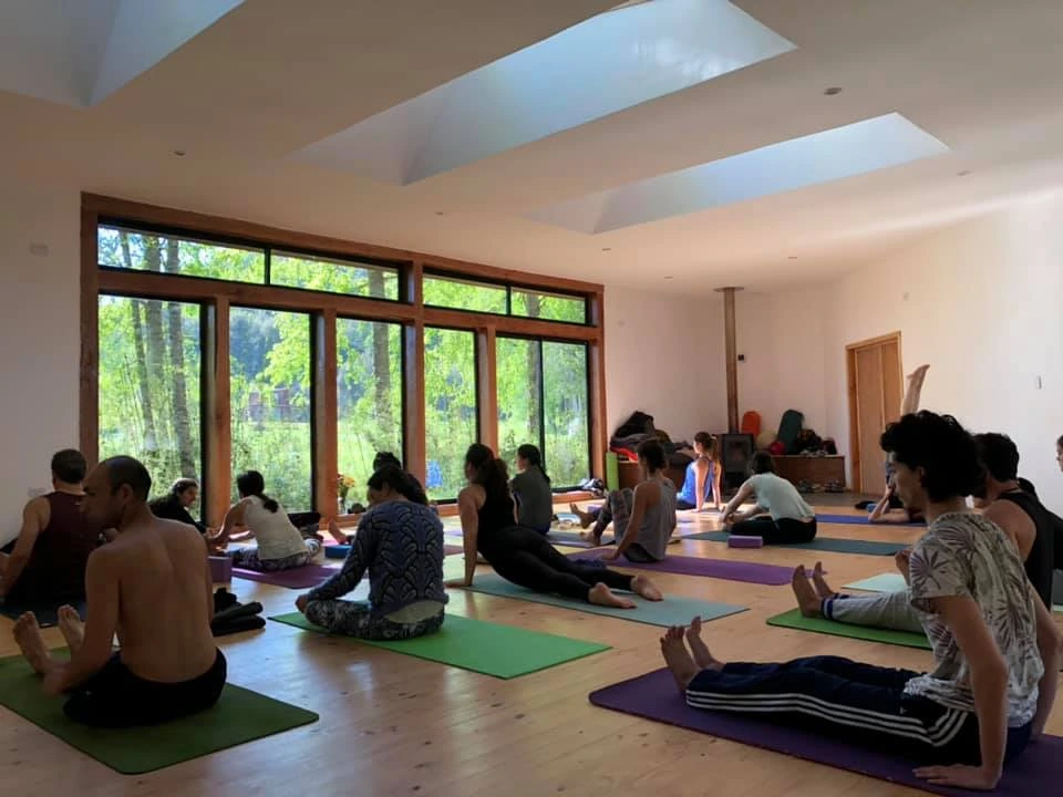 Padma Yoga & Mindfulness