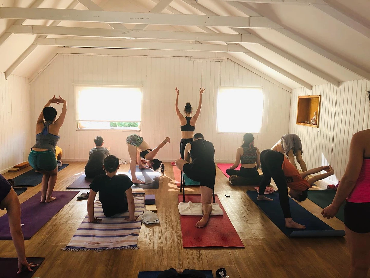 Padma Yoga & Mindfulness