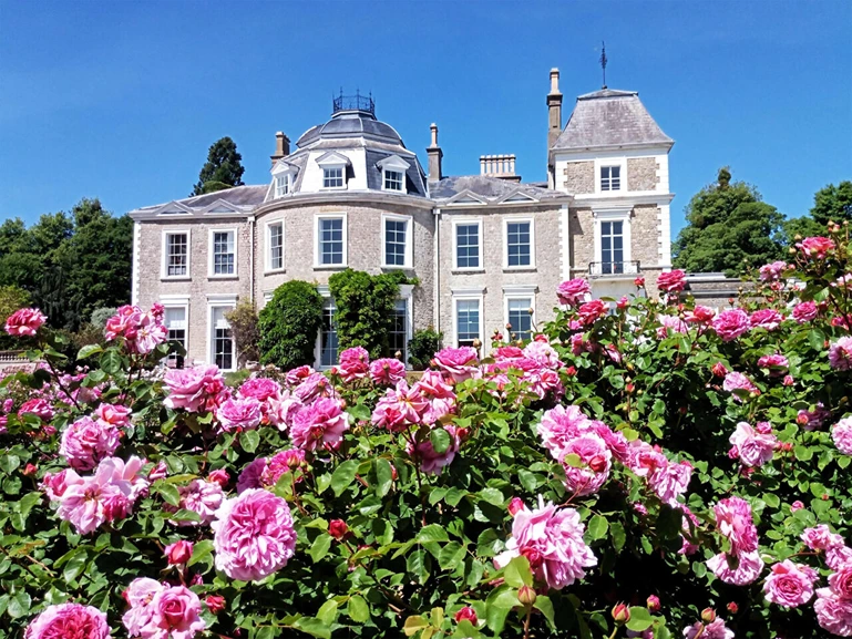Transcendental Meditation London, Pimlico - The Meditation Trust England
