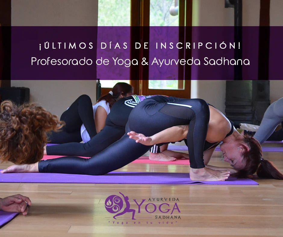 Volver A Casa Espacio Integral Vida Sana 