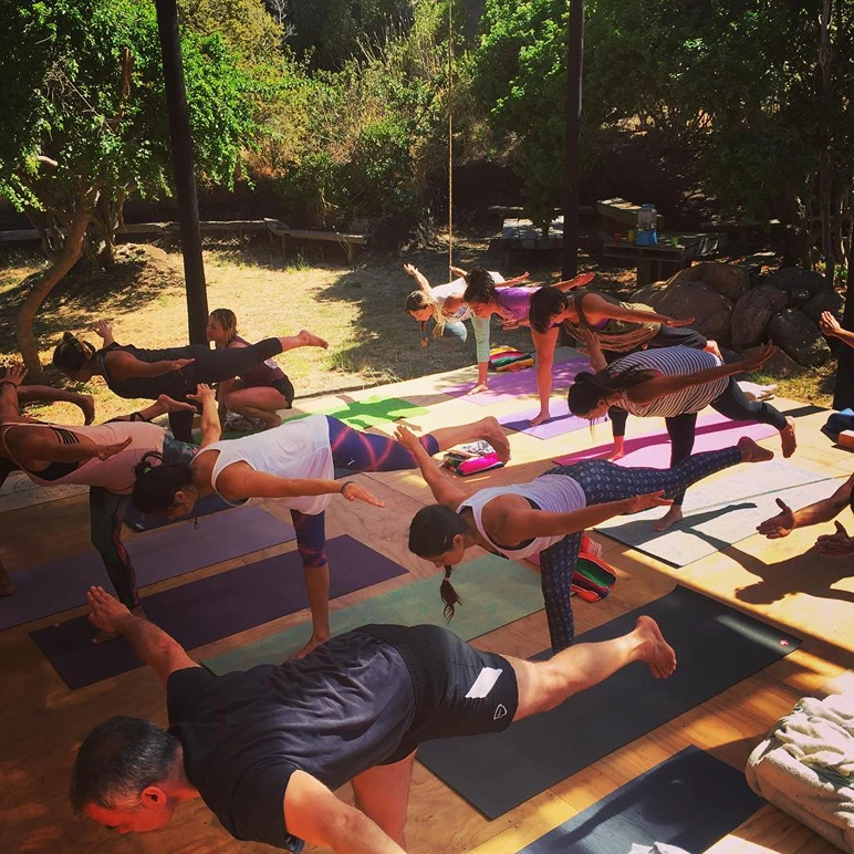 Yoga Mukti Iyengar 