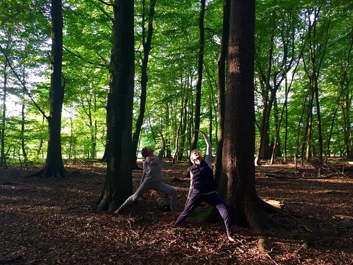 Yogaharburg 