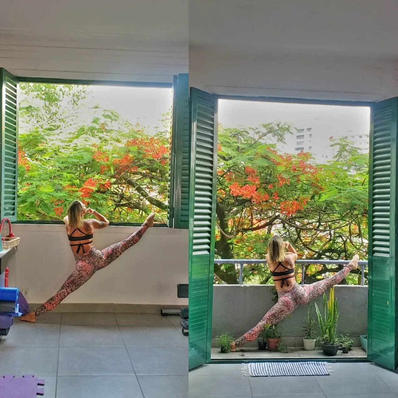 Yoga Go Pilates Rio de Janeiro