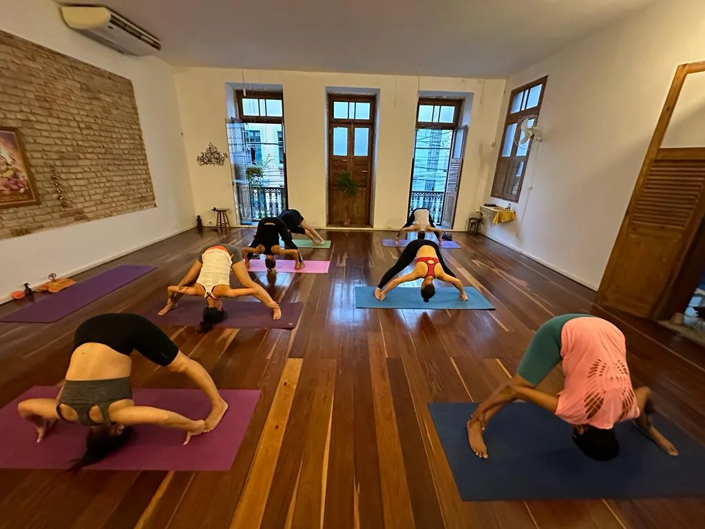 Yoga Svadharma Brazil