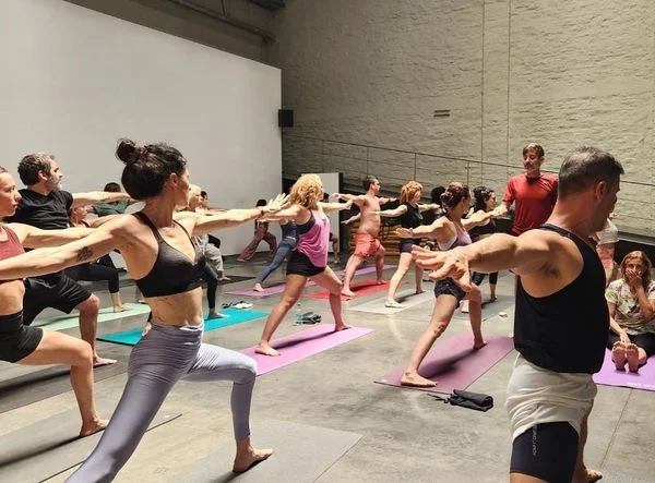 Ashtanga Yoga Centro Carlos Frione 