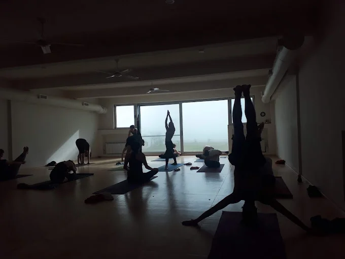 Ashtanga Yoga School In Buenos Aires Buenos Aires