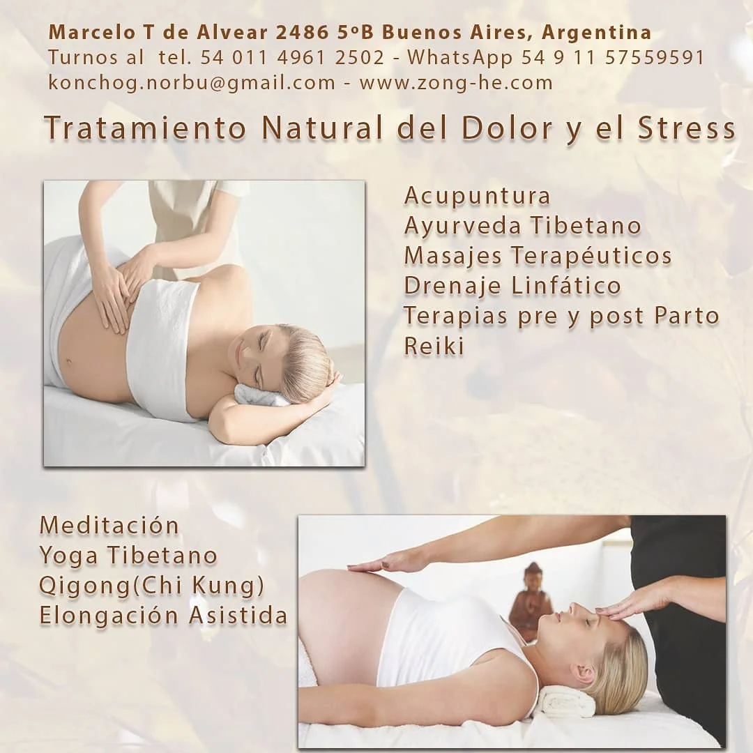 Centro Zong He de Salud y Alegria 
