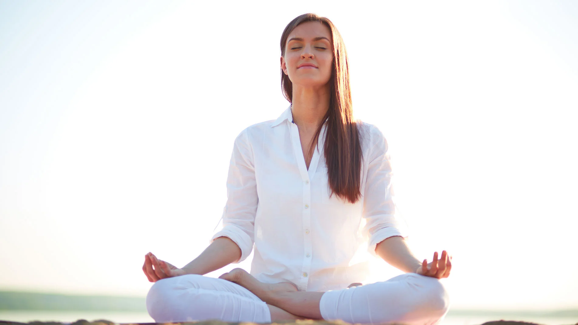 Vipassana Meditation Society