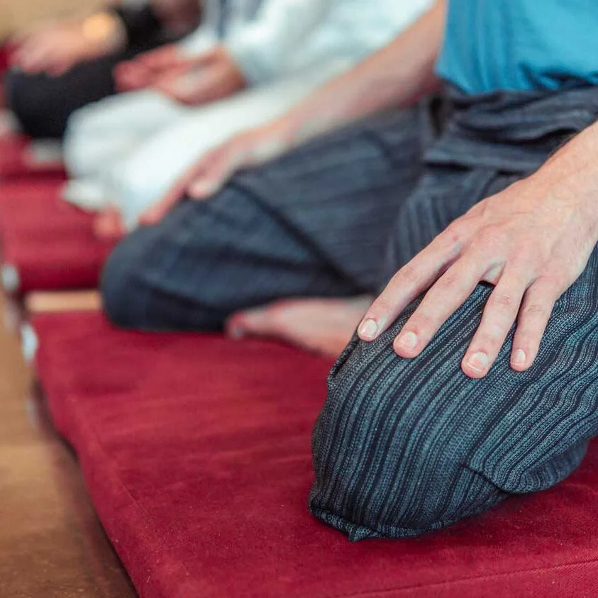 Vipassana Meditation Society