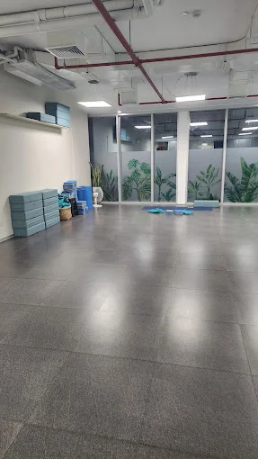 Elevate Studio | Yoga & Masajes