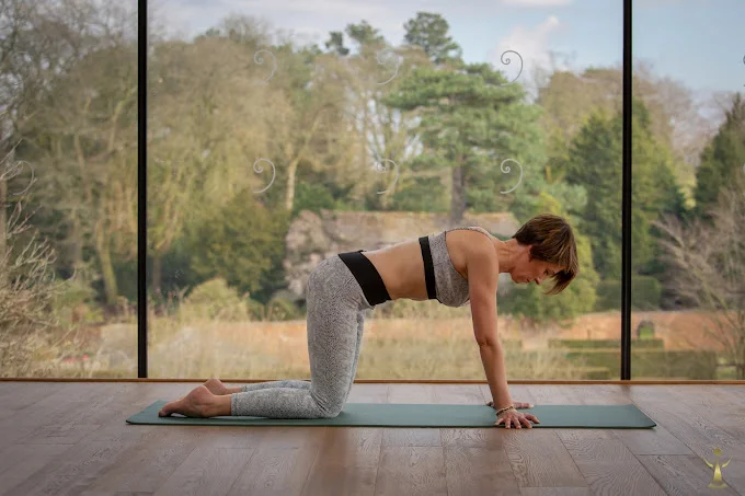 Emma's Yoga Tribe