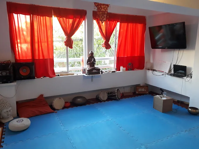 Fundación Argentina De Yoga, Yogaterapia Y Ayurveda 