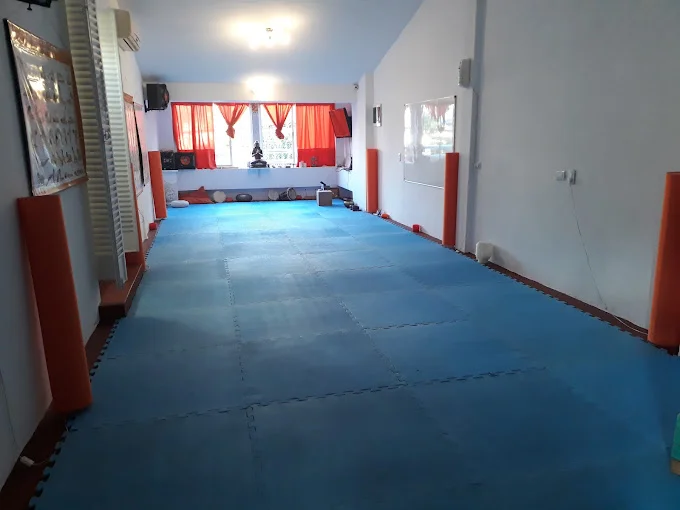 Fundación Argentina De Yoga, Yogaterapia Y Ayurveda Buenos Aires