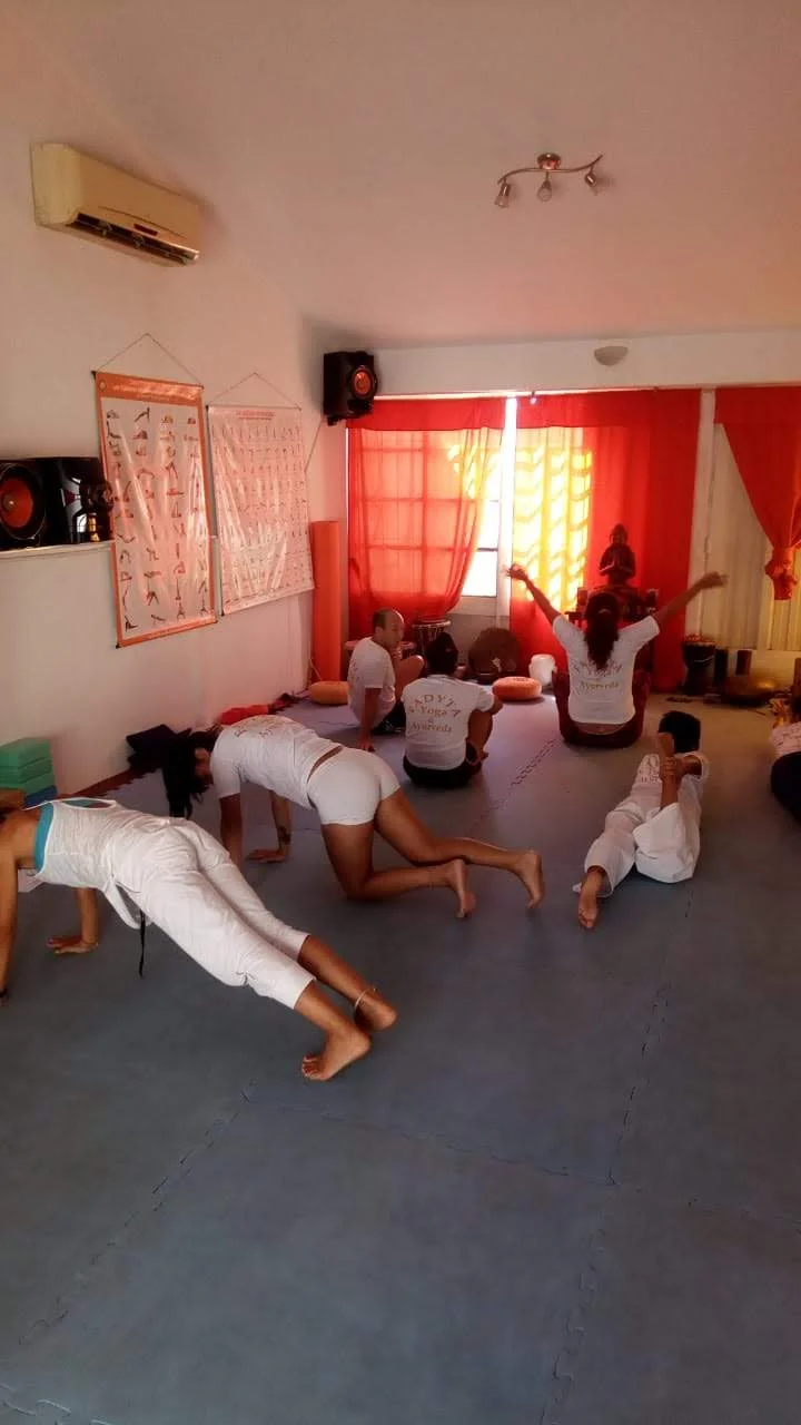 Fundación Argentina De Yoga, Yogaterapia Y Ayurveda Buenos Aires