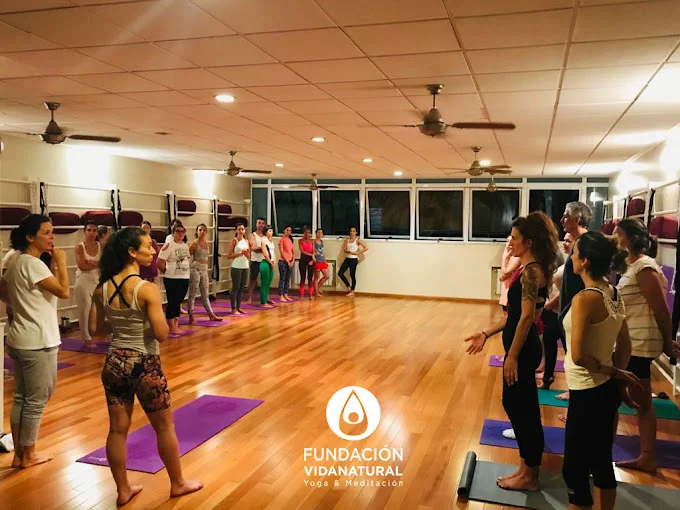 Fundación Vida Natural Yoga Presencial Y Online Buenos Aires