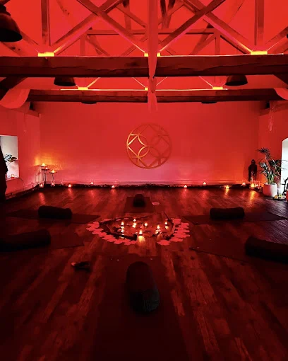 Harewood Holistics
