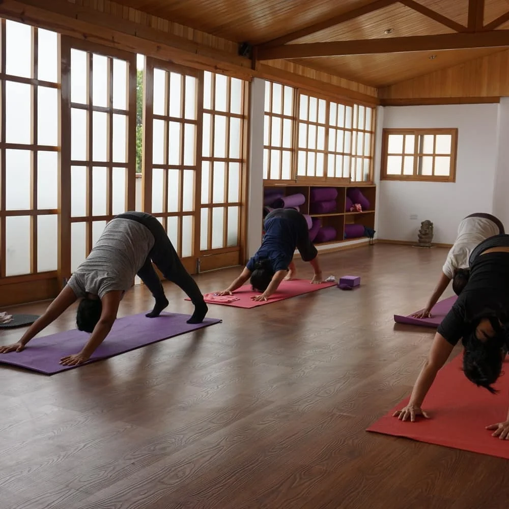 Kaia Yoga 