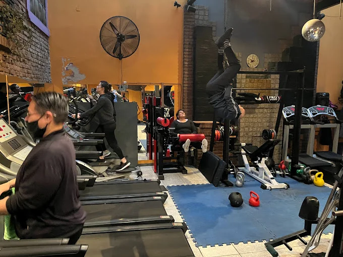 Life pilates 