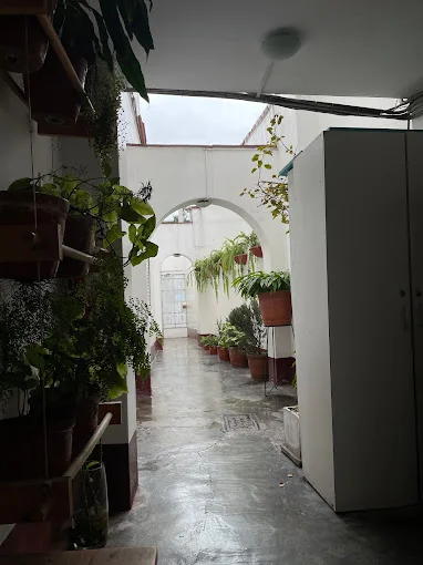  Lima