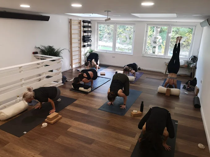 Loti Yoga 