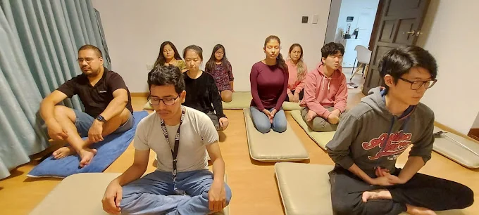 Meditación Surco 