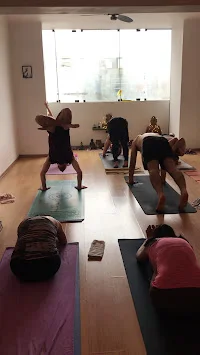 One Love Yoga 