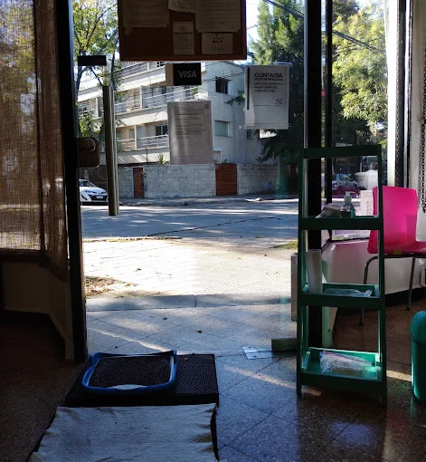 Pilates Loft San Isidro 