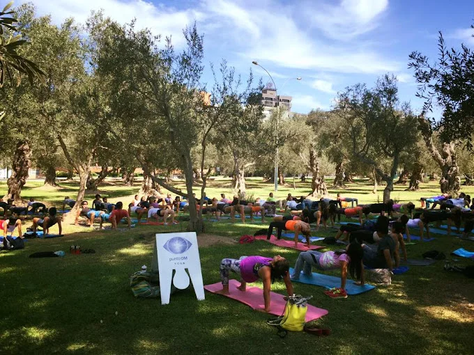 Punto OM Yoga