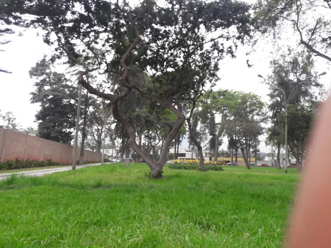 Pure Pilates Peru 