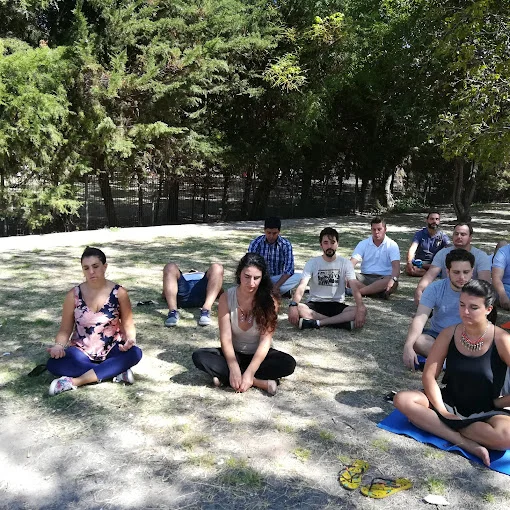 Pyrat centro De Yoga , Meditación Mindfulness . Villa Pueyrredon 