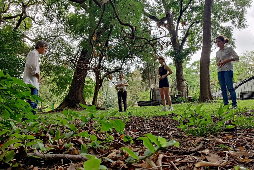 Tai chi, Chi kung y Meditación Argentina