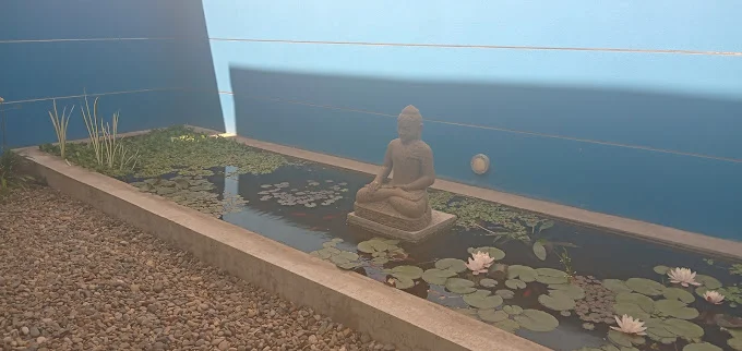 Vriksha be yoga 