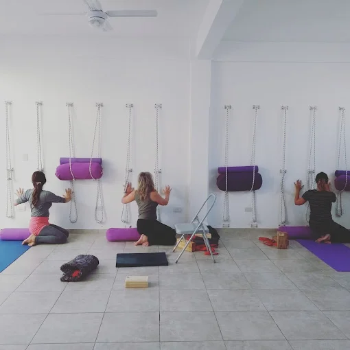 Yoga Iyengar Estudio Urbano 